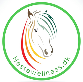 Anaislinda Healing og Hestewellness